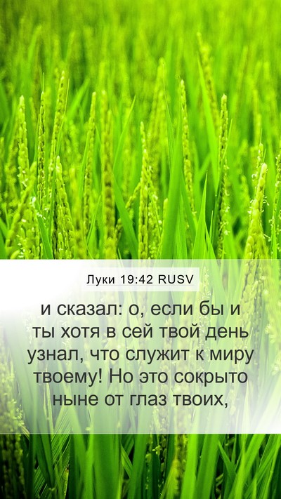 Луки 19:42 RUSV Bible Verse Image
