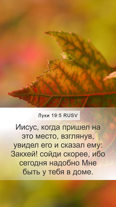 Луки 19:5 RUSV Mobile Phone Wallpaper - Иисус, когда пришел на это - Mobile Bible Verse Wallpaper
