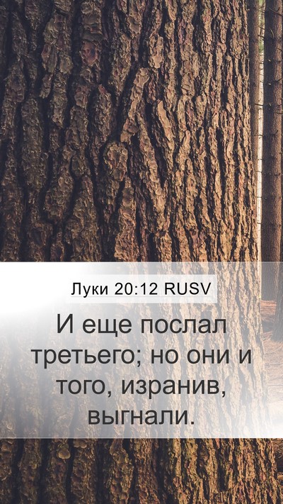 Луки 20:12 RUSV Mobile Phone Wallpaper - И еще послал третьего; но - Mobile Bible Verse Wallpaper