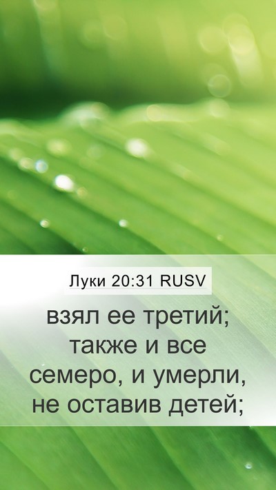 Луки 20:31 RUSV Mobile Phone Wallpaper - взял ее третий; также и все - Mobile Bible Verse Wallpaper