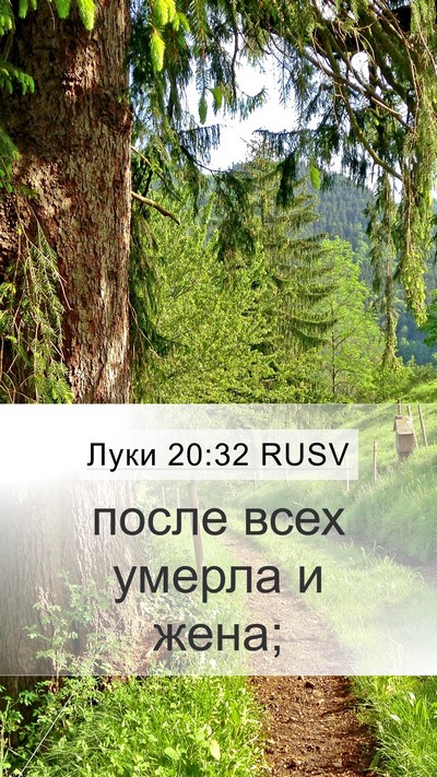 Луки 20:32 RUSV Mobile Phone Wallpaper - после всех умерла и - Mobile Bible Verse Wallpaper