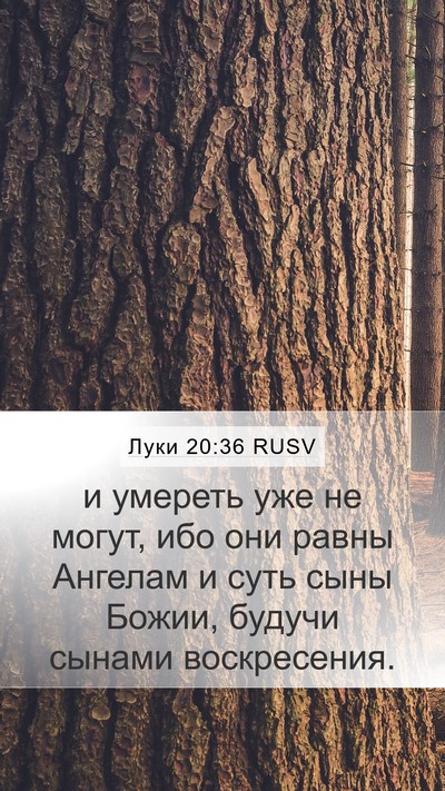 Луки 20:36 RUSV Bible Verse Image