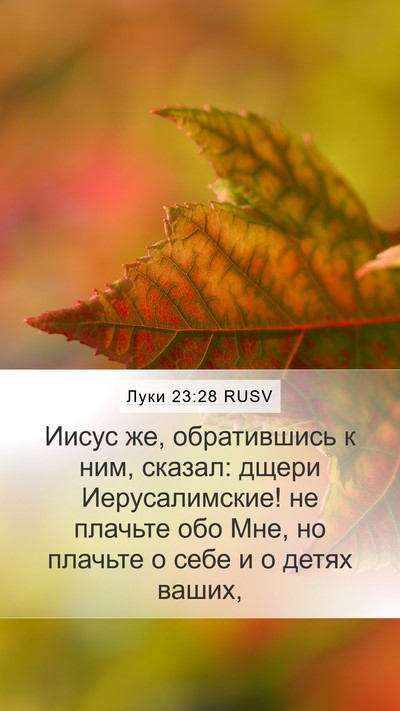 Луки 23:28 RUSV Bible Verse Image