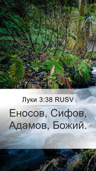 Луки 3:38 RUSV Bible Verse Image