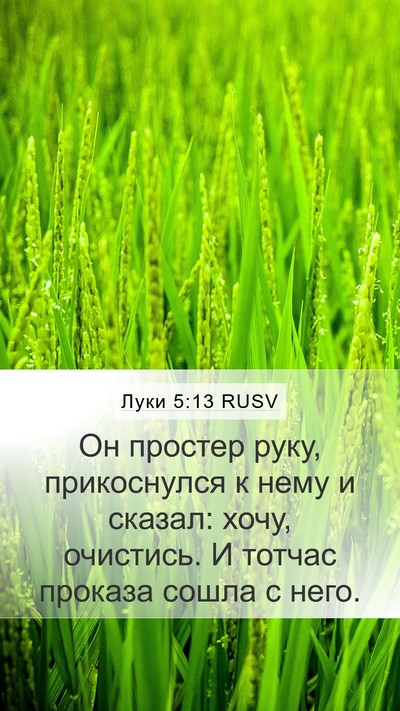 Луки 5:13 RUSV Bible Verse Image