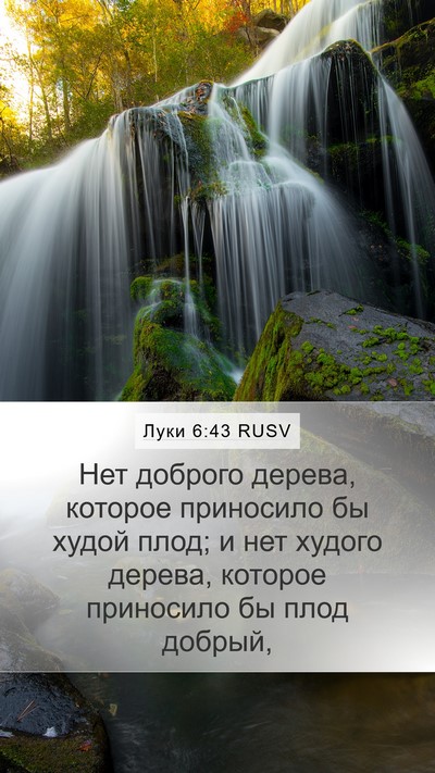Луки 6:43 RUSV Bible Verse Image