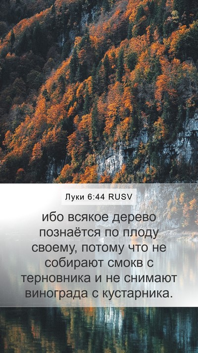Луки 6:44 RUSV Bible Verse Image