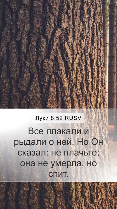 Луки 8:52 RUSV Bible Verse Image