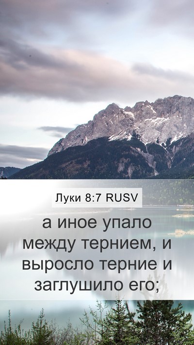 Луки 8:7 RUSV Mobile Phone Wallpaper - а иное упало между тернием, - Mobile Bible Verse Wallpaper