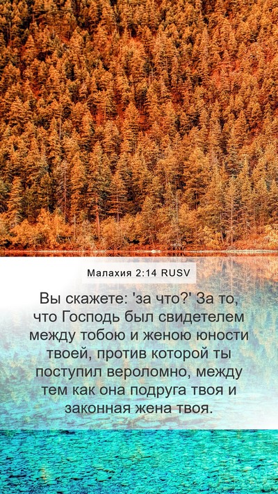 Малахия 2:14 RUSV Bible Verse Image