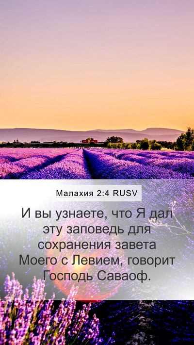 Малахия 2:4 RUSV Bible Verse Image