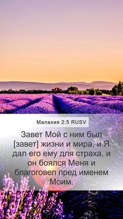 Малахия 2:5 RUSV Bible Verse Image