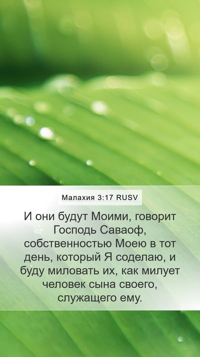 Малахия 3:17 RUSV Bible Verse Image