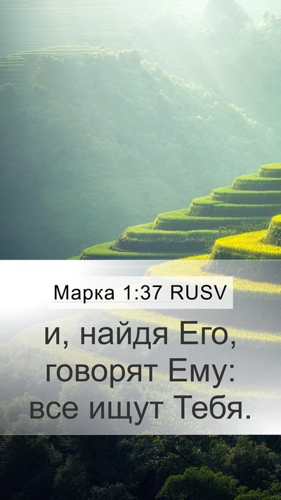 Марка 1:37 RUSV Bible Verse Image