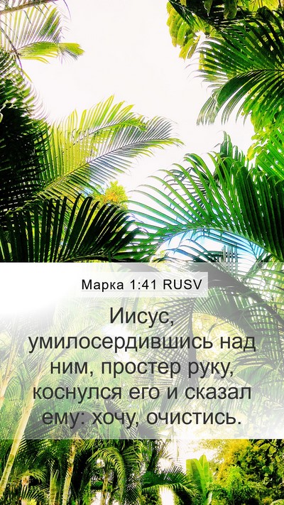 Марка 1:41 RUSV Bible Verse Image