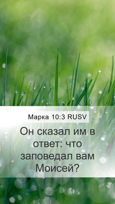 Марка 10:3 RUSV Mobile Phone Wallpaper - Он сказал им в ответ: что - Mobile Bible Verse Wallpaper