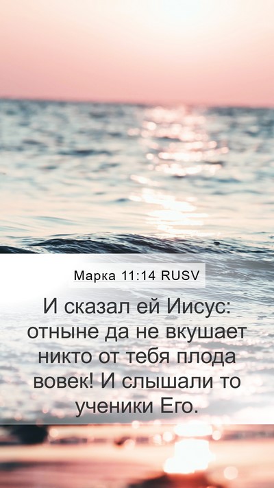 Марка 11:14 RUSV Bible Verse Image