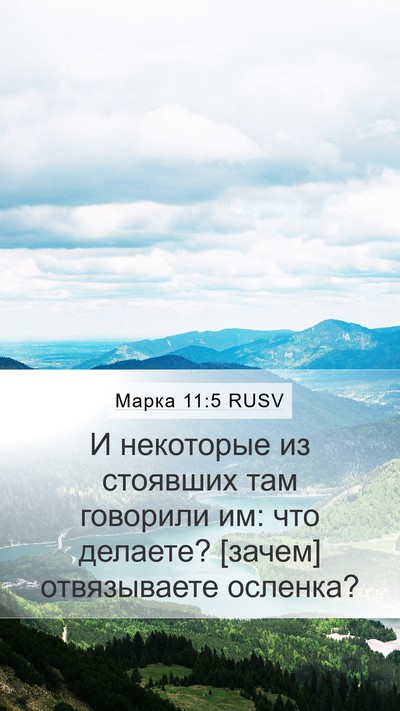Марка 11:5 RUSV Mobile Phone Wallpaper - И некоторые из стоявших - Mobile Bible Verse Wallpaper