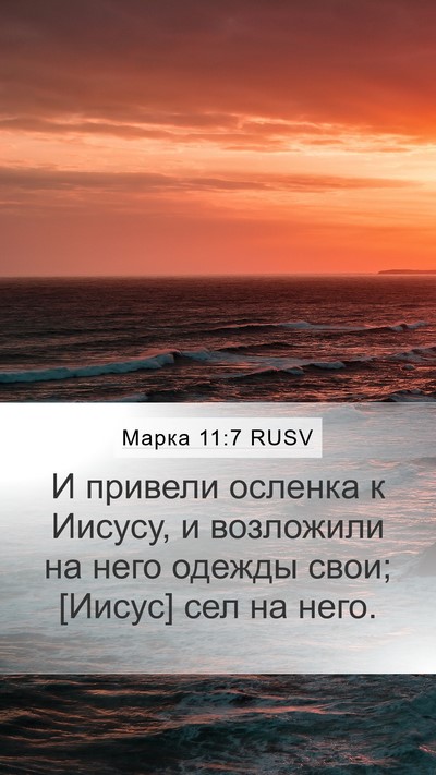 Марка 11:7 RUSV Mobile Phone Wallpaper - И привели осленка к Иисусу, - Mobile Bible Verse Wallpaper