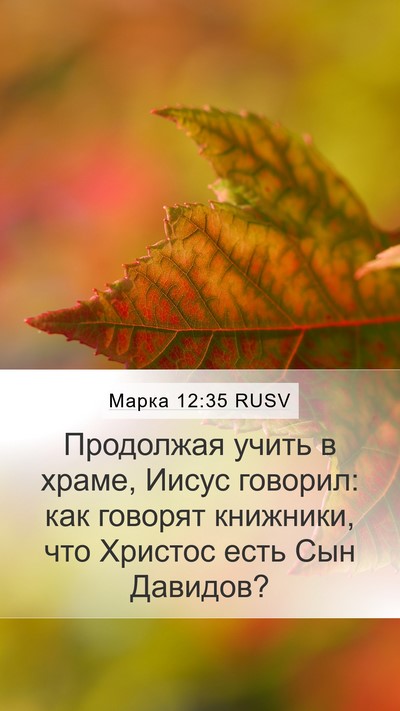 Марка 12:35 RUSV Bible Verse Image