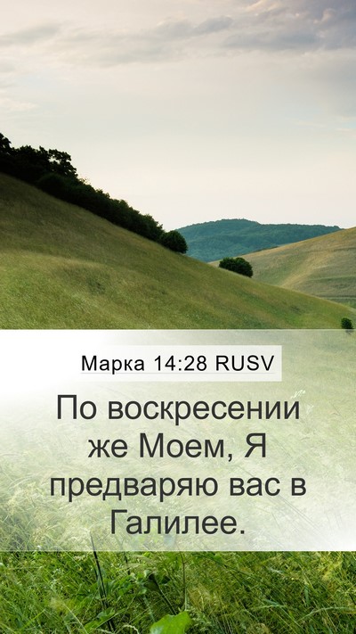 Марка 14:28 RUSV Bible Verse Image