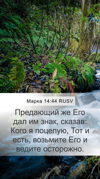 Марка 14:44 RUSV Bible Verse Image