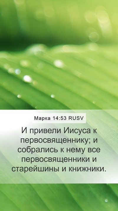 Марка 14:53 RUSV Bible Verse Image