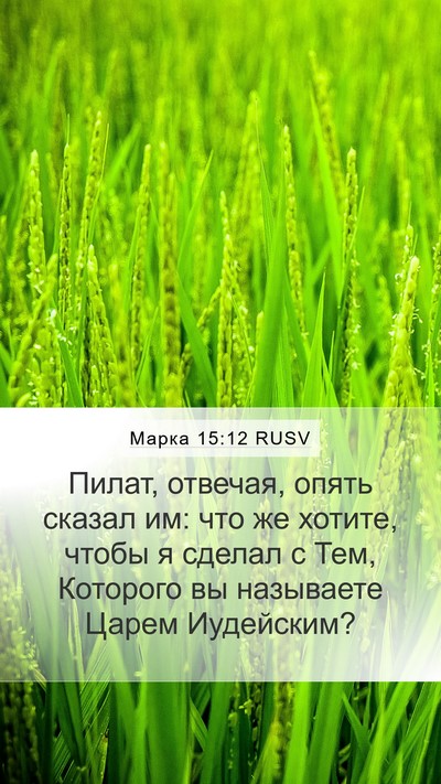 Марка 15:12 RUSV Bible Verse Image