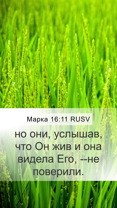 Марка 16:11 RUSV Bible Verse Image