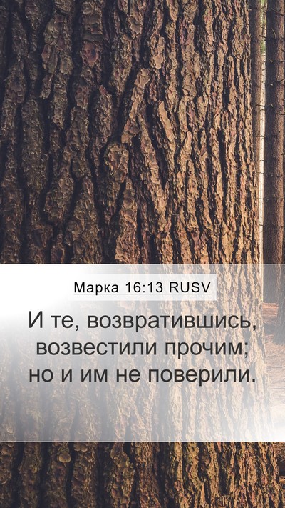 Марка 16:13 RUSV Bible Verse Image