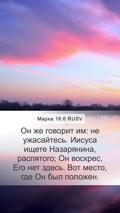 Марка 16:6 RUSV Bible Verse Image
