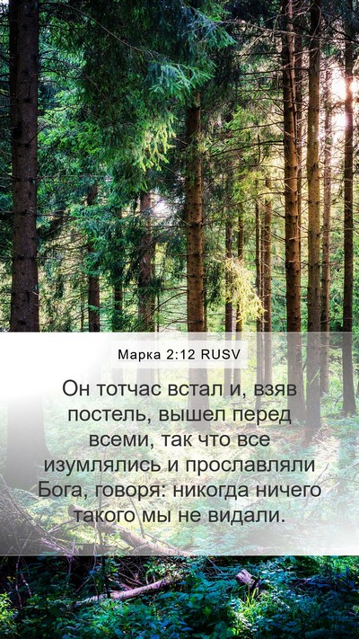 Марка 2:12 RUSV Bible Verse Image
