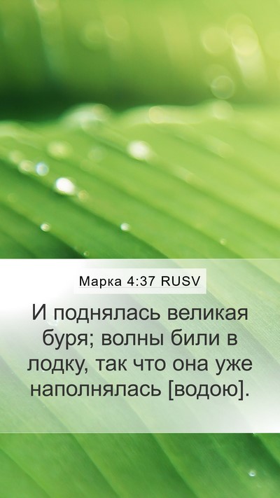 Марка 4:37 RUSV Bible Verse Image