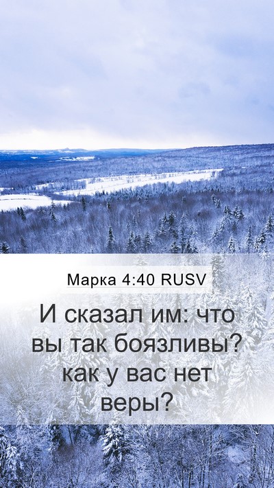 Марка 4:40 RUSV Bible Verse Image