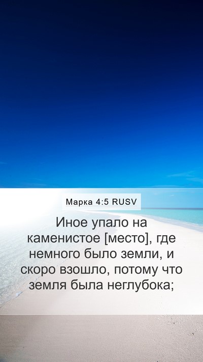 Марка 4:5 RUSV Bible Verse Image
