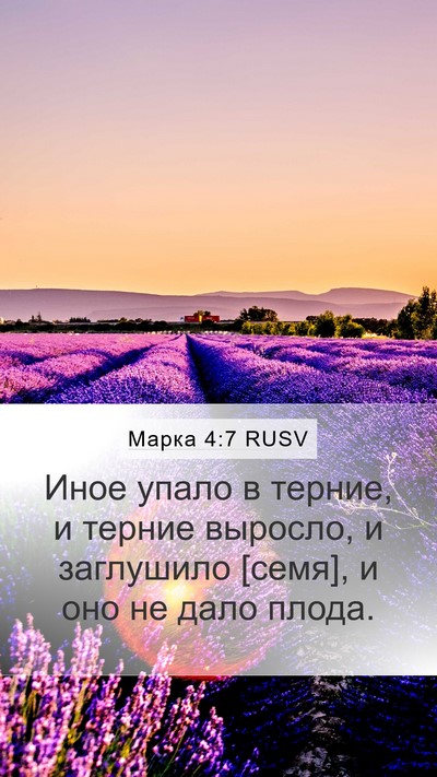 Марка 4:7 RUSV Bible Verse Image