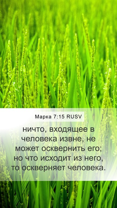 Марка 7:15 RUSV Bible Verse Image