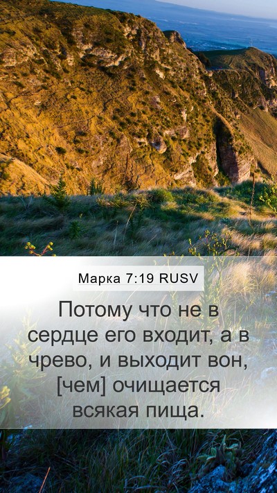 Марка 7:19 RUSV Bible Verse Image