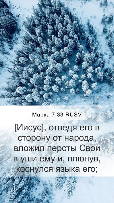 Марка 7:33 RUSV Bible Verse Image