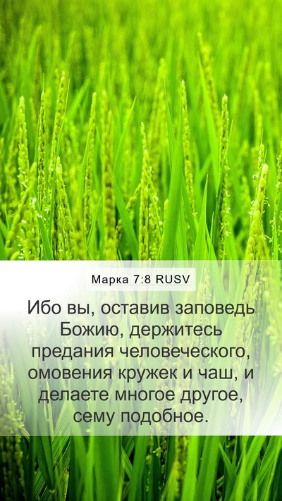 Марка 7:8 RUSV Mobile Phone Wallpaper - Ибо вы, оставив заповедь - Mobile Bible Verse Wallpaper