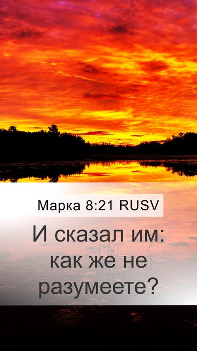 Марка 8:21 RUSV Bible Verse Image