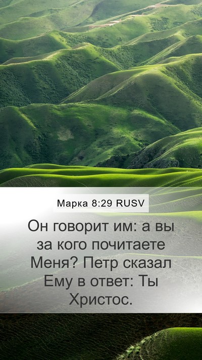 Марка 8:29 RUSV Bible Verse Image