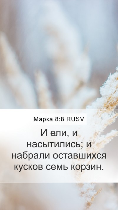 Марка 8:8 RUSV Bible Verse Image