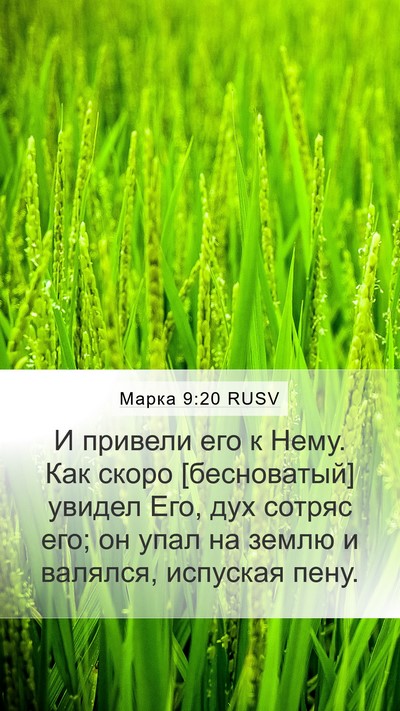 Марка 9:20 RUSV Bible Verse Image