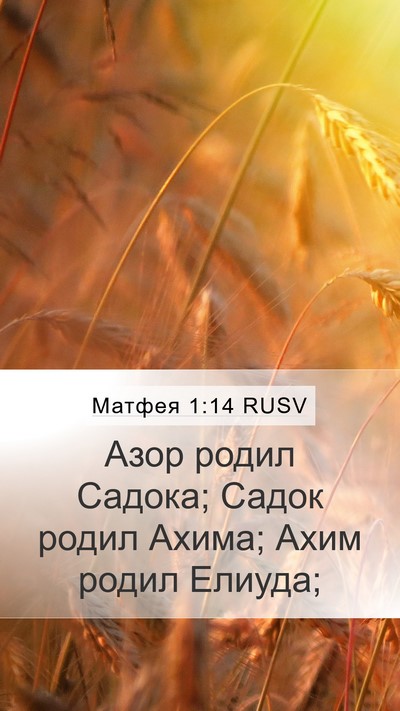 Матфея 1:14 RUSV Mobile Phone Wallpaper - Азор родил Садока; Садок - Mobile Bible Verse Wallpaper