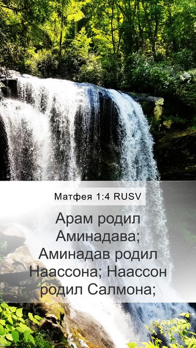 Матфея 1:4 RUSV Bible Verse Image