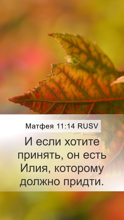 Матфея 11:14 RUSV Bible Verse Image