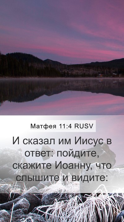 Матфея 11:4 RUSV Mobile Phone Wallpaper - И сказал им Иисус в ответ: - Mobile Bible Verse Wallpaper