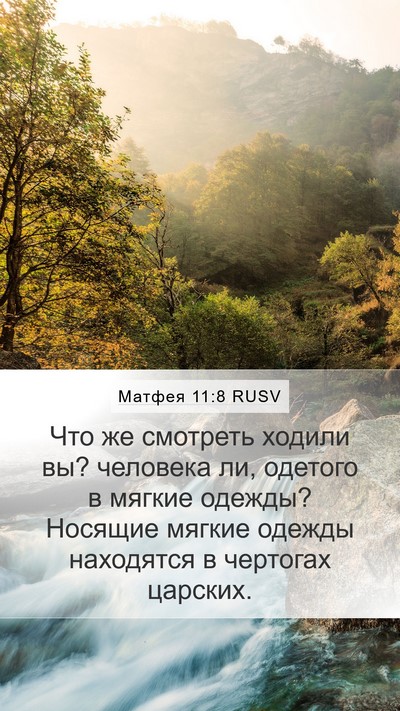 Матфея 11:8 RUSV Bible Verse Image