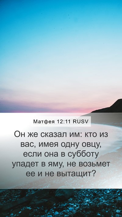 Матфея 12:11 RUSV Bible Verse Image